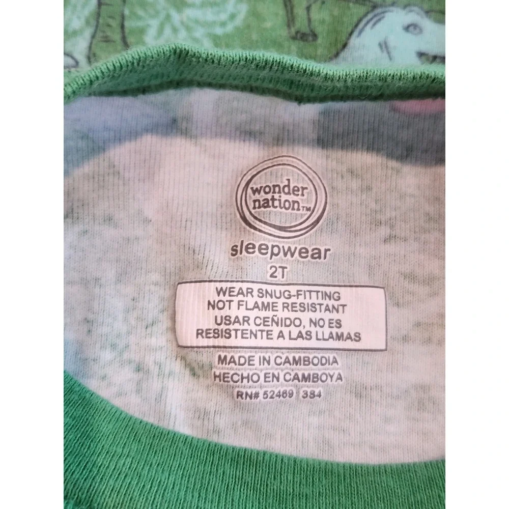 Toddler Boys Green Dinosaur Pajama Set - Soft Cotton Sleepwear